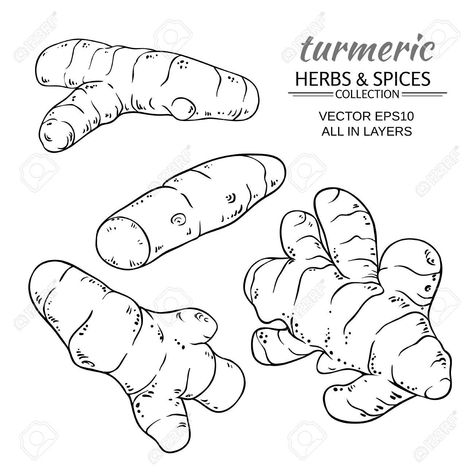 Turmeric Illustration, Turmeric Root, White Background, Stock Vector, Vector Images, Vector Illustration, Herbs, Graphic Design, White