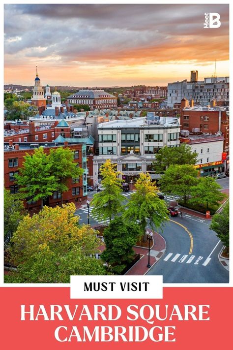 To spend a few hours getting better acquainted with Harvard Square Cambridge, we recommend visiting all the spots on this loop in our post. This is a great Boston Neighborhood to visit for Tourists in Boston, Start at Harvard Square Plaza and walk across the street to Harvard University, past wadsworth house until you are in Harvard Yard. Visit the Cambridge Public Library and finish at the Brattle House. Visiting Harvard University, Harvard Square Cambridge, Cambridge Boston, Harvard Yard, Places In Boston, Boston Travel Guide, Boston Neighborhoods, Harvard Square, Harvard Art Museum