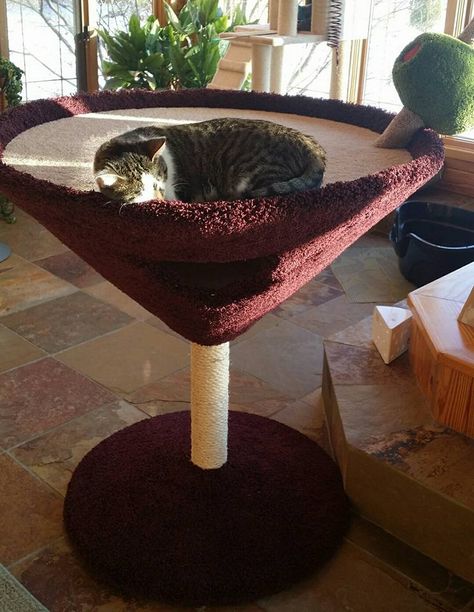 Martini Glass Cat Tree, Martini Cat Condo, Cat Tree Ideas Apartments, Martini Cat Tree, Cat Room In Basement, Cat Decor Apartment, Cat Stuff Aesthetic, Pretty Cat Tree, Cute Cat Trees