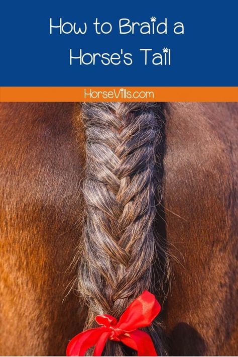 How to Braid a Horse's Tail: 3 Classic Styles (Step-by-Step) Horse Mane Braids With Ribbon, Horse Tail Braiding, How To Braid Horse Hair, Mane Braids, Horse Mane Braids, Horse Hair Braiding, Unique Braided Hairstyles, Horse Braiding, Hear Style