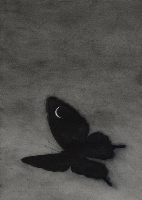 White Photo, A Butterfly, The Sky, The Moon, Moon, Black And White, White, Black