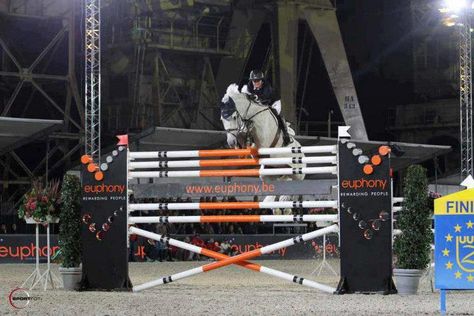 2.10 meters! Show Jumping Horses, Hunter Jumper, All The Pretty Horses, Horse Crazy, Sport Horse, Equestrian Life, Horse Equestrian, Horse Jumping, Equine Photography