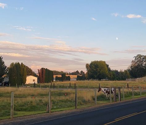 #aesthetic #country #western #horse #texas The Iron Claw Aesthetic, Appalachian Country Aesthetic, Western Texas Aesthetic, Country Americana Aesthetic, Texas Home Aesthetic, South Texas Aesthetic, Rural Texas Aesthetic, Outskirts House, Western America Aesthetic