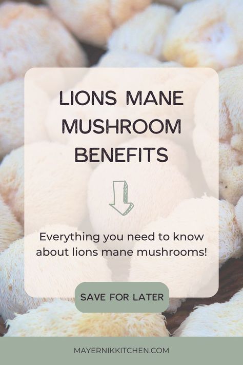 Mushroom Vegan Recipes, Herbal Garden Ideas, Mushroom Dinner Recipes, Lions Mane Benefits, Lion Main, Lions Mane Mushroom Recipe, Herbalist Kitchen, Mushroom Tincture, Herbal Salve Recipes