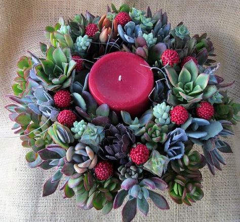 20 Stylish Ideas for Live Succulent Wreaths Accentuating Green Christmas Decorating Christmas Succulent Ideas, Succulent Crafts, Succulent Wreaths, Succulent Christmas, Christmas Bazaar Ideas, Christmas Wreath Designs, Diy Natal, Succulent Ideas, Winter Holiday Decorations