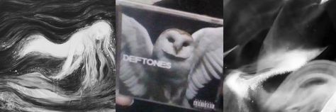 Deftones Twitter Banner, Deftones Twitter Header, Deftones Banner, Deftones Header, Pinterest Header, Black Twitter Header, Facebook Header, Cute Headers For Twitter, Arte Punk