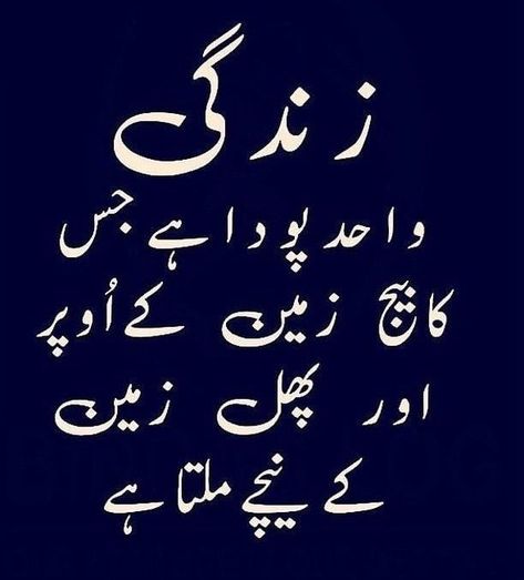 Instagram post by My Perosnal Diary • Oct 1, 2019 at 3:43pm UTC Golden Words In Urdu, Feeling Loved Quotes, Golden Words, Golden Quotes, Love Quotes In Urdu, Urdu Funny Poetry, Touching Words, Quotes In Urdu, Urdu Love Words