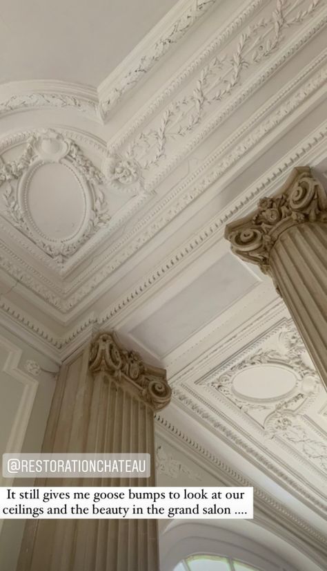 French castle, ceiling mouldings Crown Molding Aesthetic, Vintage Moulding, Castle Ceiling, House Molding, French Ceiling, Ceiling Crown Molding, French Castle, House Mold, French Castles