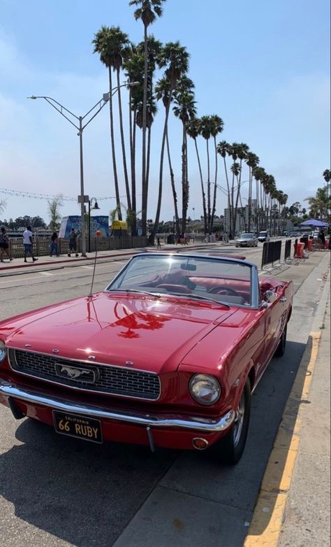 Old Fashion Cars, Car Profile, Glamour Lifestyle, 80s Cars, Red Mustang, Future Earth, Red Cars, Vintage Mustang, Old Vintage Cars