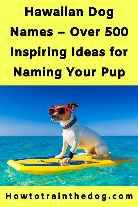 Pretty Names For Dogs, Ocean Puppy Names, Make Dog Names, Names For Dogs Boys, Hawaiian Dog Names, Girl Dog Names, Puppy Names, Dog Pin, Girl And Dog