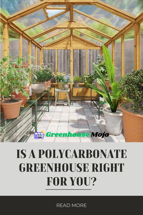 Uncover the pros and cons of a Polycarbonate Greenhouse and how it compares with glass glazing. Get tips on choosing and installing polycarbonate panels. Greenhouse Business, Build A Greenhouse, Polycarbonate Greenhouse, Polycarbonate Panels, Diy Greenhouse, Business Idea, Greenhouses, Pros And Cons, Home Depot