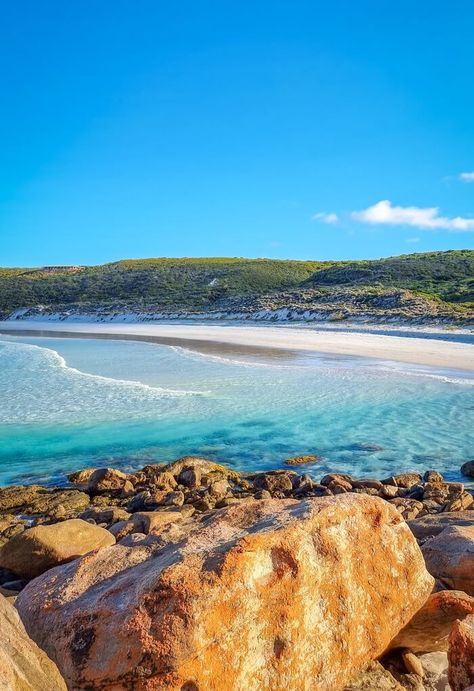 beautiful beach in western australia Denmark Aesthetic, Best Places In The World, Bondi Icebergs, Coogee Beach, Southern Ocean, Kings Park, Boat Trip, Beach Rocks, Surf Lesson