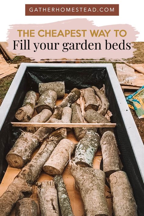 Art Creative Ideas, Cheap Raised Garden Beds, Raised Garden Beds Diy Vegetables, Mosquito Zapper, Vegetable Garden Raised Beds, Building A Raised Garden, Backyard Vegetable Gardens, Bug Zapper, Raised Garden Beds Diy