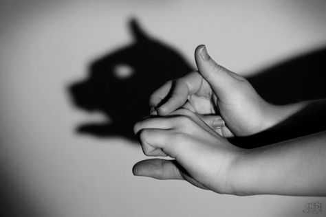 cat Shadow Puppets With Hands, Cat Shadow, Hand Shadows, Shadow Theatre, Shadow Art, Shadow Puppets, Flower Names, Human Hand, Funny Cat Pictures