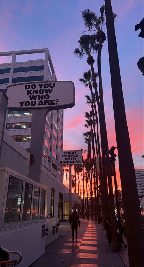 Jamie + Core + Aesthetic, Hollywood Blvd Aesthetic, Hollywood Wallpaper Aesthetic, Jamie Core Aesthetic, Los Angeles Aesthetic Wallpaper, Harry Styles Signs, Subtle Harry Styles Wallpaper, Jamie Core, Izzy Core