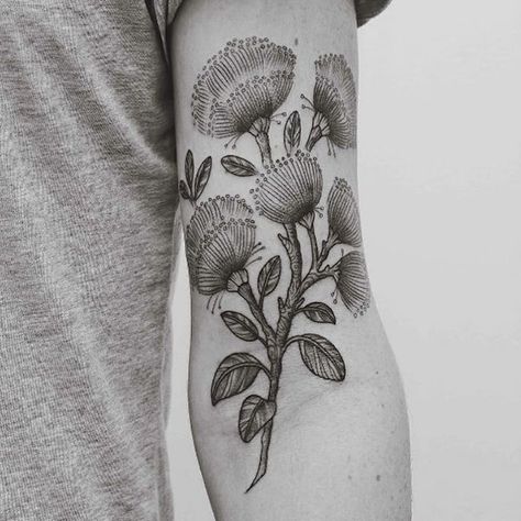 Lehua Flower Drawing, Lehua Flower Tattoo, Lehua Tattoo, Koru Tattoo, New Zealand Tattoo, Plants Photo, Maori Tattoos, Tree Tattoos, Native Tattoos