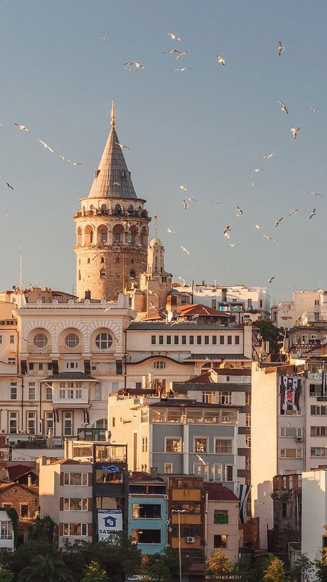 Istanbul Turkey, Istanbul, Tower, Travel