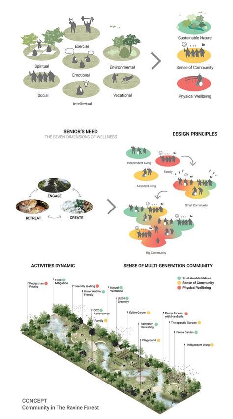 Landscape Design Concept Diagram, Neighborhood Park Design, Landscape Concept Diagram, Zoning Architecture Diagram, Landscape Diagram, Landscape Architecture Diagram, Tree Diagram, Urban Design Diagram, Urban Design Graphics