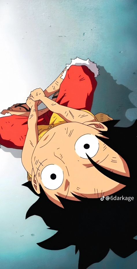 One Piece Crew, Funny Animal Jokes, Manga Anime One Piece, One Piece Luffy, Weird Pictures, Cool Anime Pictures, Monkey D Luffy, Animal Jokes, I Love Anime