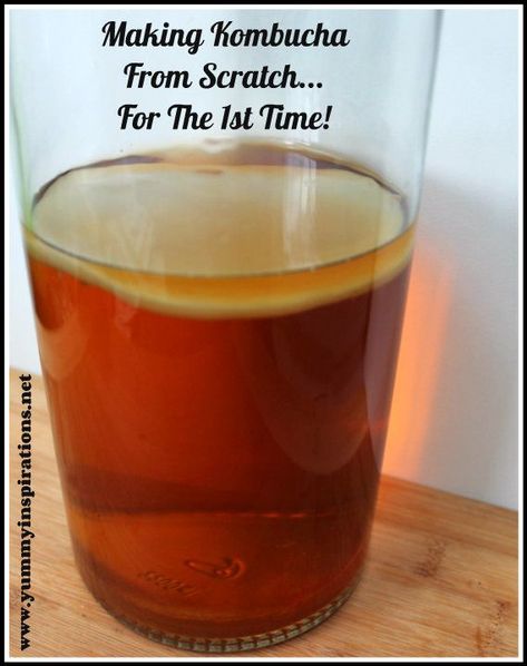 Making Kombucha From Scratch... For The 1st Time! How To Make Scoby, Making Kombucha, Kombucha Recipes, Diy Kombucha, Fermented Drinks, Kombucha Starter, Apricot Smoothie, Kombucha Scoby, Homemade Kombucha