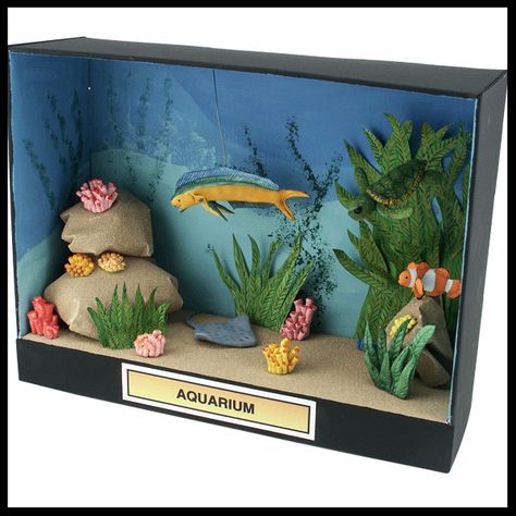 Project Idea- Create a simple aquarium with a ShowBox. Use Desert Sand ReadyGrass® Sheets to make rocks for your aquarium. Sculpt turtles, clownfish, coral and seaweed and kelp. Then, use the Project Paints to paint the items and the colorful blue-water background. Ecosystems Diorama, Shoe Box Diorama, Ocean Diorama, Biomes Project, Diorama Kids, Ecosystems Projects, Shoe Box Crafts, Habitats Projects, Ocean Habitat