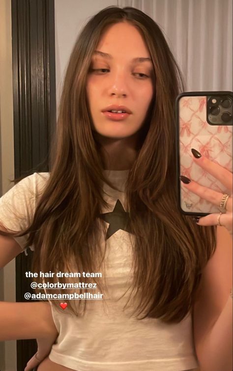 Brunette Long Layers, Monet Hair Products, Face Framing Hair, Brown Straight Hair, Brown Hair Inspo, Hair Inspiration Long, Straight Hair Cuts, Balayage Hair Dark, Rebecca Ferguson