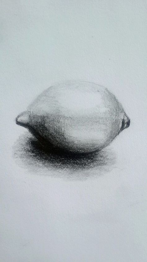 Drawing Body Proportions, Easy Pictures To Draw, Plants Drawings, Easy Pencil Drawings, Fruit Sketch, Still Life Sketch, Fruit Art Drawings, Drawing Basics