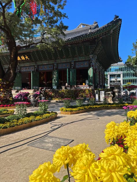 # Jogyesa Temple 조계사 # Jogyesa Temple #조계사 #aesthetically pleasing #photography #aestheitcs #korea travel #south korea #beautiful photos #korea #photoart #photooftheday #instadaily #Seoul #seoul city #Seoul travel Jogyesa Temple, Travel South Korea, Seoul City, Seoul Travel, Korea Travel, Travel South, Aesthetically Pleasing, South Korea, Seoul