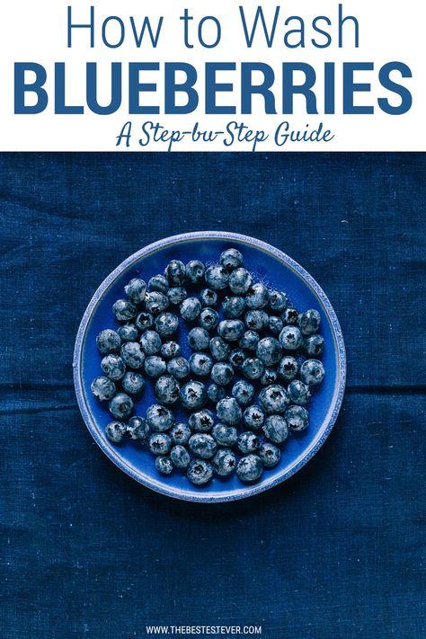 Find out the right way to wash blueberries. No longer have soggy berries or ones that get moldy quickly.  This step by  step guide will show you exactly how to clean blueberries properly. How To Wash Blueberries, How To Eat Blueberries, How To Wash Berries, How To Clean Blueberries, How To Clean Berries, Cleaning Blueberries, Clean Blueberries, Strawberry Cleaning, Cleaning Berries