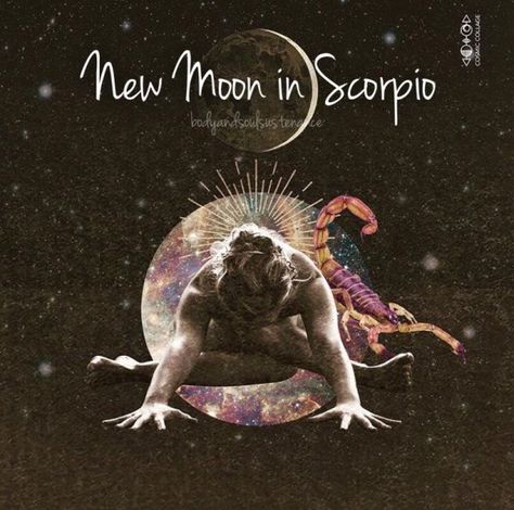 New Moon in Scorpio – October 27, 2019 | Body & Soul Sustenance New Moon Scorpio, Scorpio New Moon, Cosmic Collage, New Moon In Scorpio, Moon In Scorpio, Wild Women Sisterhood, Moon Magick, Zodiac Scorpio, Scorpio Season