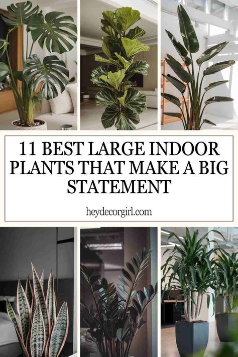 11 Best Large Indoor Plants That Make a Big Statement - Hey Decor Girl [Latest Trending Decor Design Ideas] Indoor Foliage Plants, Best Tall Indoor Plants, Big Leaf House Plants, Potted Plants Indoor Living Rooms, Large Houseplants Indoor, House Plant Styling, Monstera In Living Room, Best Plants For Living Room, Big House Plants Indoor