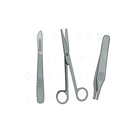 Surgery instruments digital graphic by yvettesworld123 on Etsy Surgery Stickers, Medical Stickers Aesthetic, Surgery Aesthetic, Vet Surgical Instruments, Medical Clip Art, Cardiothoracic Surgery, Surgical Scissors, Surgery Instruments, Surgical Tools Instruments