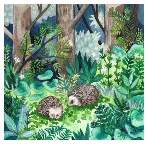 Hedgehog Awareness illustration by Aimee Lockwood. #hedgehog #animal #woodland #forest #plants #nature #watercolour #illustration #painting #art on Behance. Forest Plants Illustration, Woodland Scene Painting, Forest Plants Drawing, Hedgehogs Illustration, Forest Drawing With Animals, Watercolour Procreate, Forest Animal Painting, Watercolour Woodland, Woodland Painting