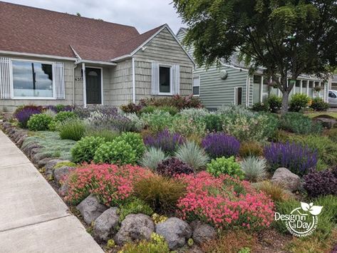 Sloped Front Yard, Pollinator Garden Design, Front Yard Plants, Front Yards Curb Appeal, Bee Friendly Garden, Residential Landscape, Garden Works, Front Garden Design, Front Yard Design