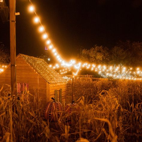 Haunted Corn Maze, Hay Maze, Haunted Maze, Haunted Hayride, Amazing Halloween Costumes, What Is Halloween, Fall Bucket List, Corn Maze, Halloween Costume Ideas