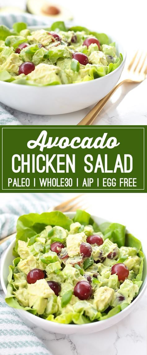 Aip Lunch, Aip Diet Recipes, Aip Meals, Unbound Wellness, Autoimmune Protocol Diet, Chicken Food Recipes, Autoimmune Paleo Recipes, Aip Paleo Recipes, Avocado Chicken