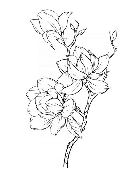 Magnolia Flower Outline Magnolia LIne Art Line Drawing Magnolia Flower Drawing Simple, Magnolia Drawing Simple, Magnolia Outline, Magnolia Flower Drawing, Magnolia Drawing, Lemon Invitations, Magnolia Grandiflora, Flower Tattoo Drawings, Beautiful Flower Drawings