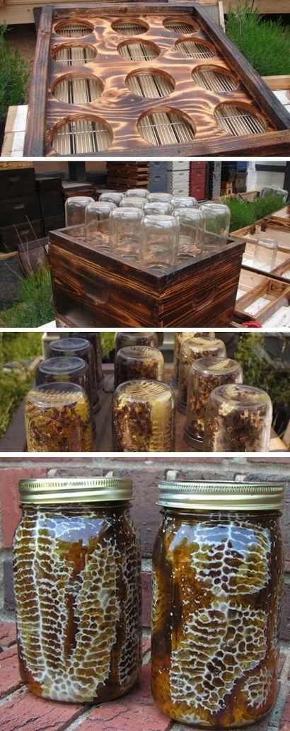 Diy Beehive, نباتات منزلية, Backyard Diy Projects, Jar Diy, Random Ideas, Honey Bees, Hobby Farms, Backyard Projects, Light House