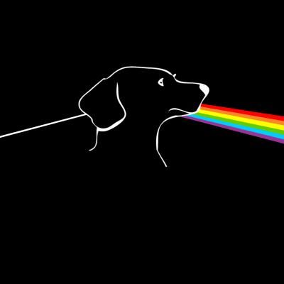 Bark Side of the Moon - Wink Floyd  (Pink Floyd / Dark Side of the Moon) (Parody) Pink Floyd Dogs, Pink Floyd Dark Side, Dark Side Of The Moon, Woman Silhouette, Pink Floyd, Dark Side, Album Covers, The Moon, Blue Sky