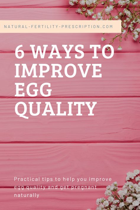 As we get older, the quality of our eggs tends to decline due to a number of factors. And because of this, many women wonder whether it is possible to improve egg quality after 40 and increase their chances of getting pregnant despite their age (in case you're wondering, the answer is YES!).  In this blog, we share a few things about poor egg quality: the causes, symptoms and more importantly, the things you can do to help improve egg quality naturally. 🙂 Egg Quality Diet, How To Increase Egg Quality, Egg Quality Fertility Improve Food, Improve Egg Quality Fertility, It Starts With The Egg, Geriatric Pregnancy, Womb Health, Improve Egg Quality, Pregnancy After 40