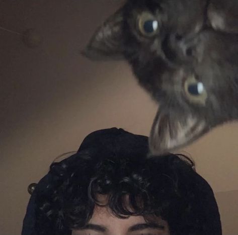 Men With Cats, ماثيو ماكونهي, Black Hair Boy, Dark Curly Hair, Black Hair Blue Eyes, Boy Cat, Boys With Curly Hair, Pics Ideas, Profile Pictures Instagram