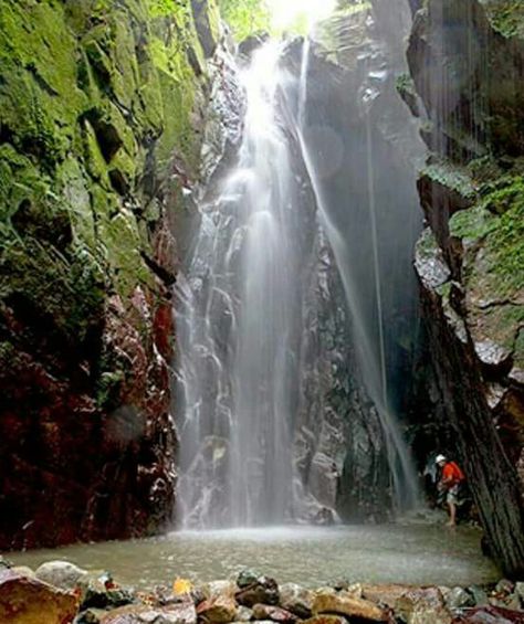 Cascada Carite en Bosque Carite,Cayey PR Caguas Puerto Rico, Puerto Rico Waterfalls, Waterfall Images, Puerto Rico Trip, Puerto Rico Vacation, Puerto Rican Pride, Puerto Rican Culture, Enchanted Island, Puerto Rican Recipes