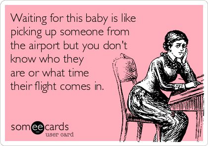 Waiting for this baby is like picking up someone from the airport but you don't know who they are or what time their flight comes in. Pregnancy Quotes Funny, Funny Pregnancy Memes, Pregnancy Memes, Happy Pregnancy, Chasing Unicorns, Pregnancy Must Haves, Funny Pregnancy, Pregnancy Quotes, Pregnancy Humor