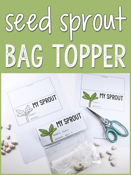 Printable bag topper for kids' seed sprouting projects. Simple, no-mess science activity for kids. Use very inexpensive and easy to find materials. Seed In Bag Experiment, Planting Seeds In Ziploc Bags, Seed In A Bag Experiment, Seed Activities For Preschool, Seeds Activities, Preschool Plants, Plants Lesson Plans, Seed Sprouting, Easy Science Projects