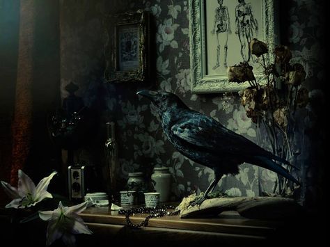 Dark rooms where spiders can hide Miss Peregrines Home For Peculiar, Peculiar Children, Slytherin Aesthetic, Crows Ravens, Gothic Aesthetic, Dark Interiors, Gothic House, Arte Fantasy, Dark Beauty