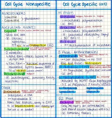 My Notes for USMLE — mynotes4usmle: ANTICANCER DRUGS & ITS TOXICITIES Chemo Infusion Nurse, Ocn Certification, Chemo Nursing, Chemo Nurse, Animal Physiology, Nursing School Pharmacology, Nclex Notes, Peds Nursing, Optometry School