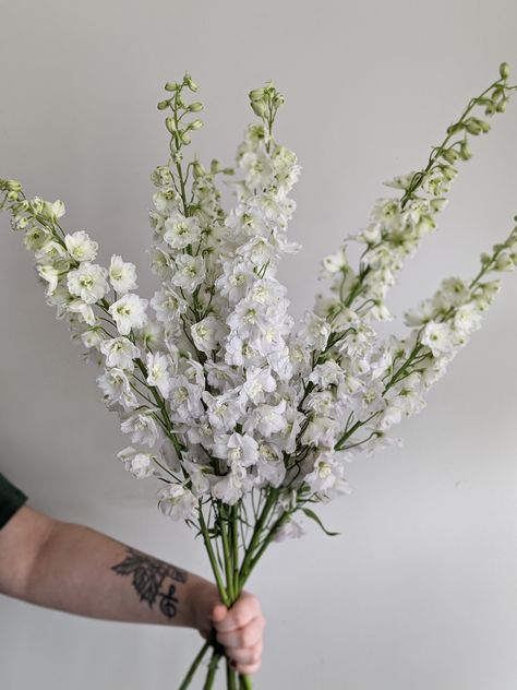 White Hybrid Delphinium, Delphinium White, White Delphinium, White Lilacs, Delphinium, Wedding Dreams, Styled Shoot, Engagement Party, Flower Decorations