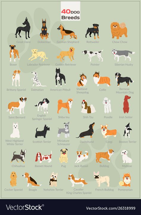 Dog Breed Poster, Photo Search, Dog Breed, Royalty Free Photos, Dog Breeds, Dogs And Puppies, Stock Photography, Vector Art, Cute Art