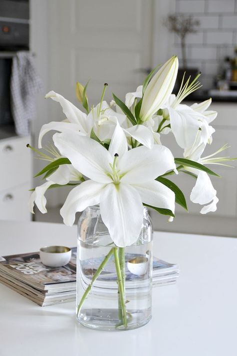 White vase decor