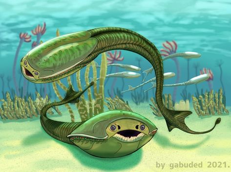 Alien Fish, Prehistoric Wildlife, Fish Artwork, Dnd Races, Prehistoric World, Paleo Art, Extinct Animals, Alien Creatures, Prehistoric Creatures